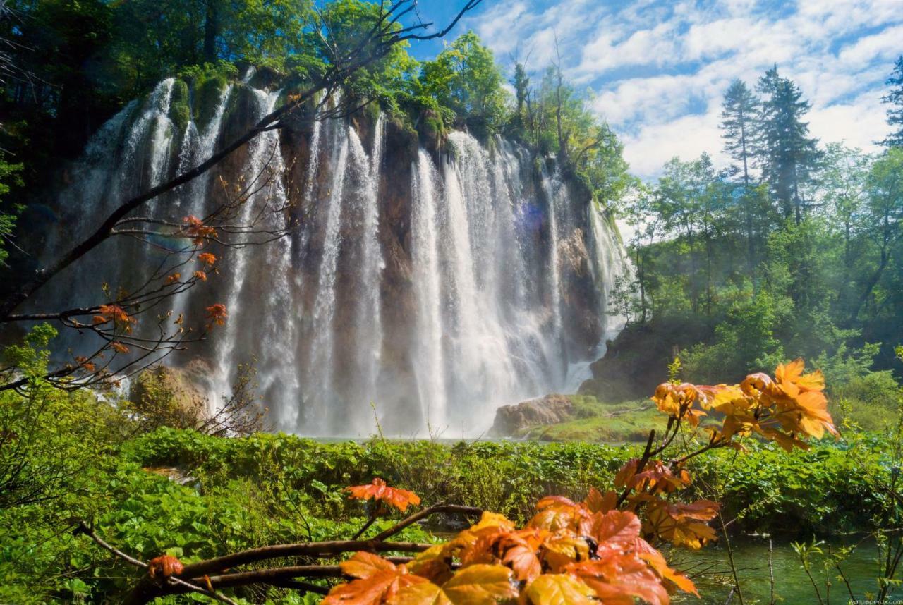 B&B Plitvice Lakes Villa Prica Плитвица-Село Экстерьер фото